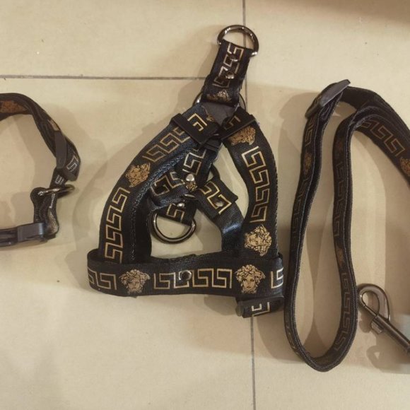 Designer Dog Accessories - Picture 3 of 14